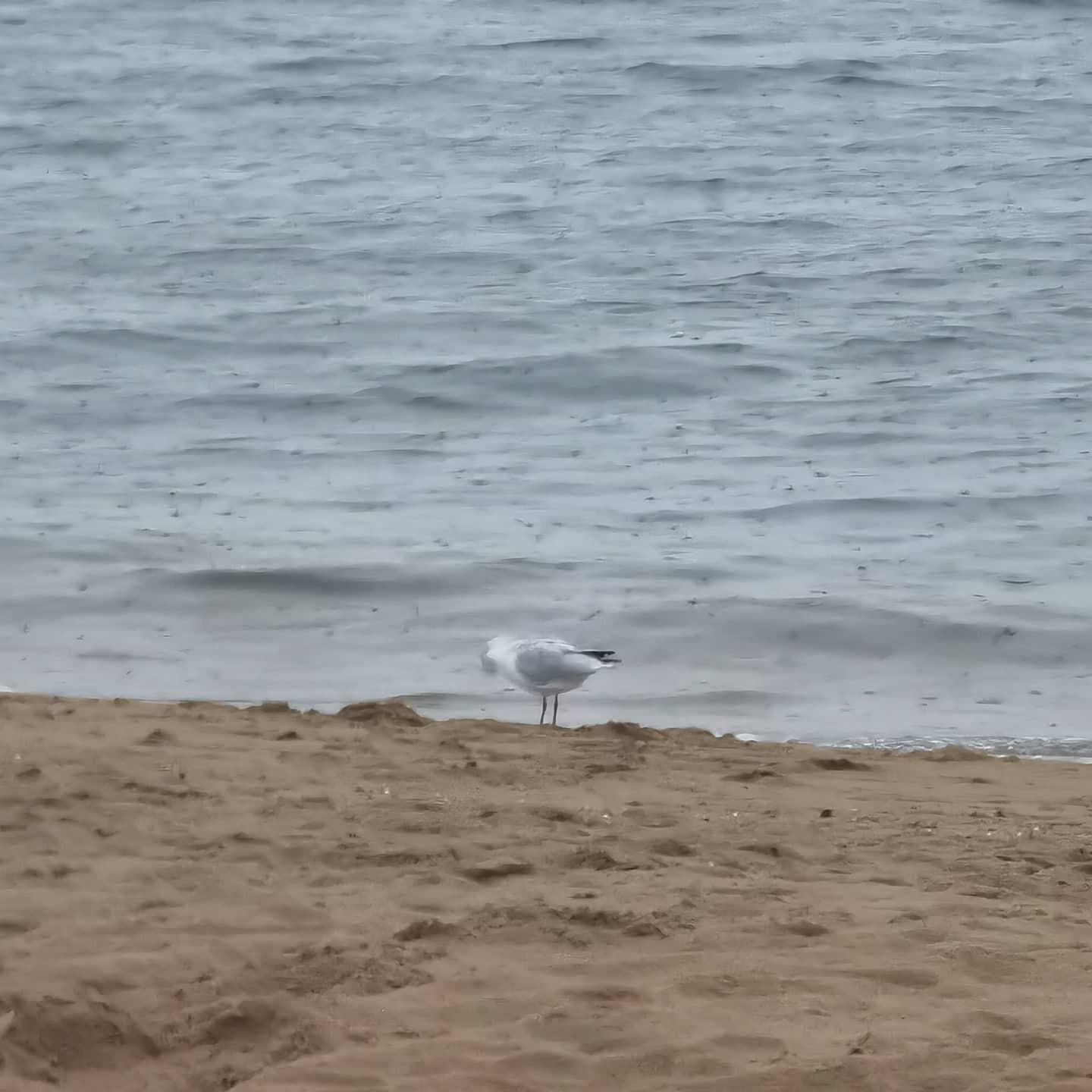 IMG_20210919_184338_325