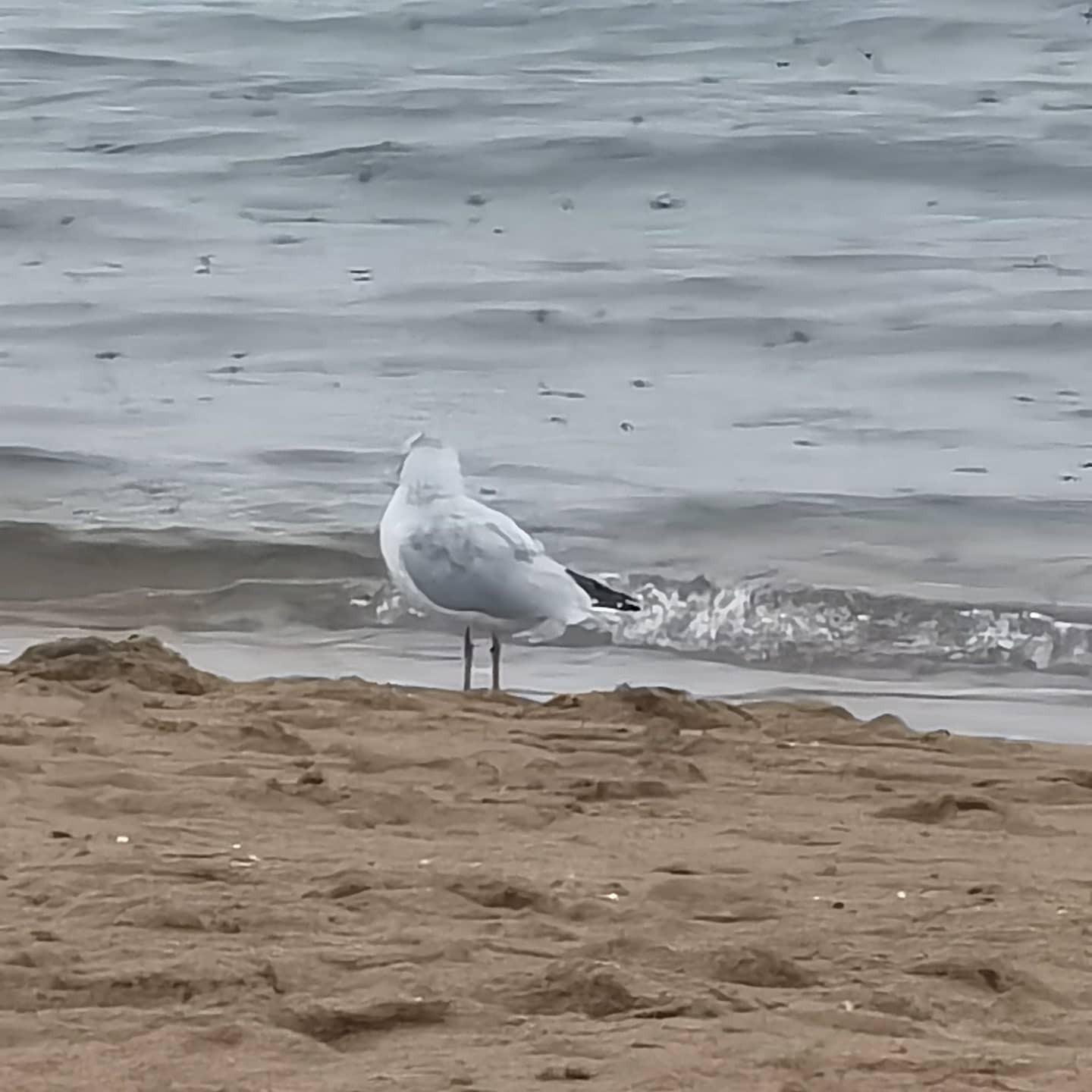 IMG_20210919_184338_329