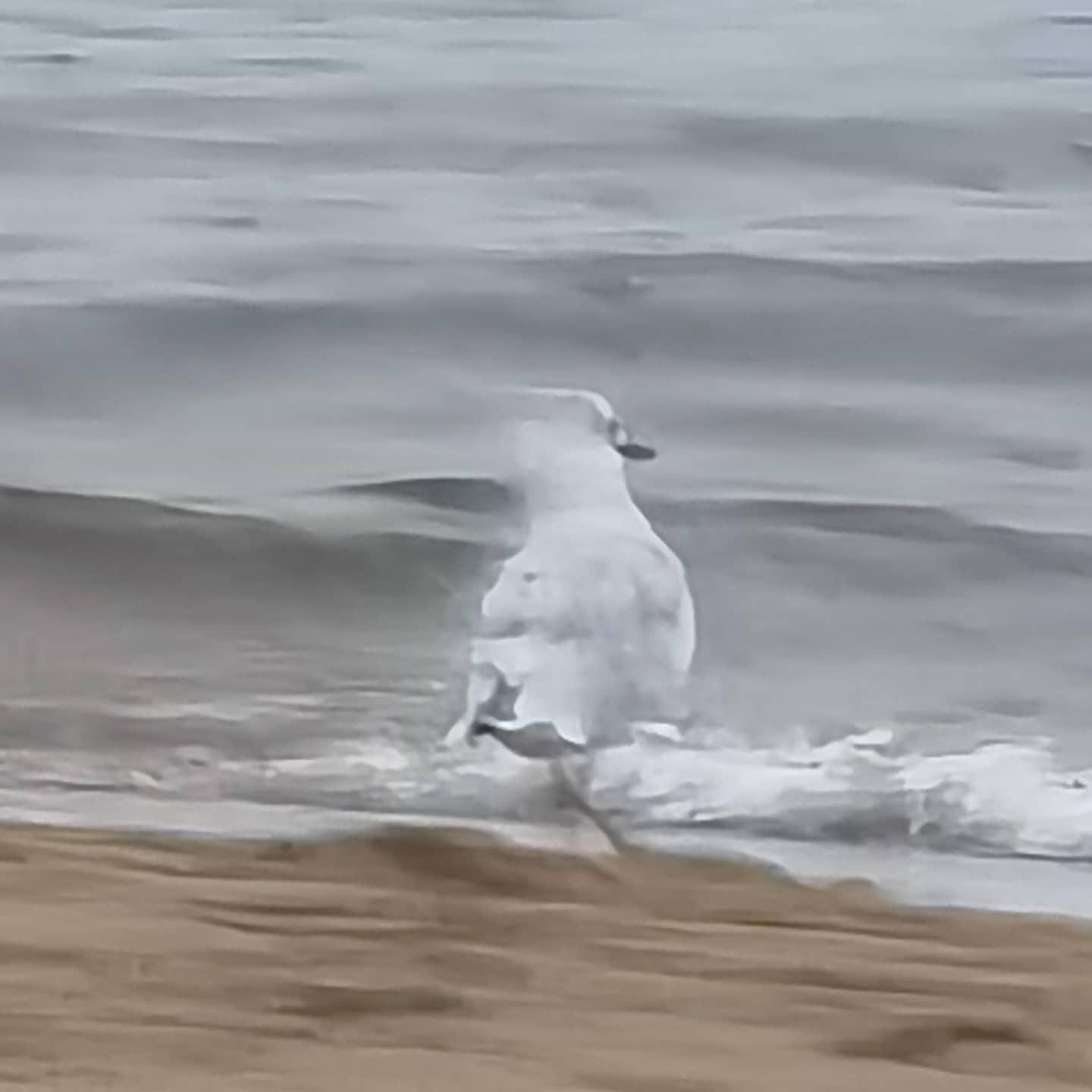 IMG_20210919_184338_334