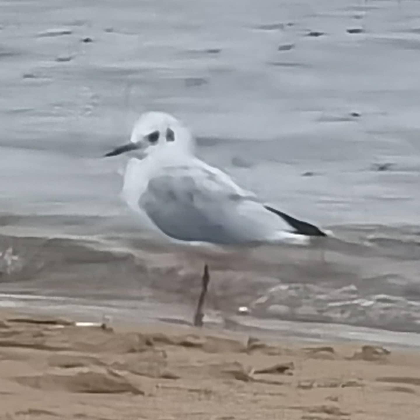 IMG_20210919_184338_340