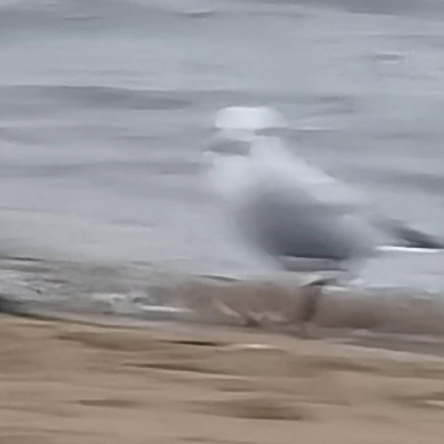 IMG_20210919_184338_348