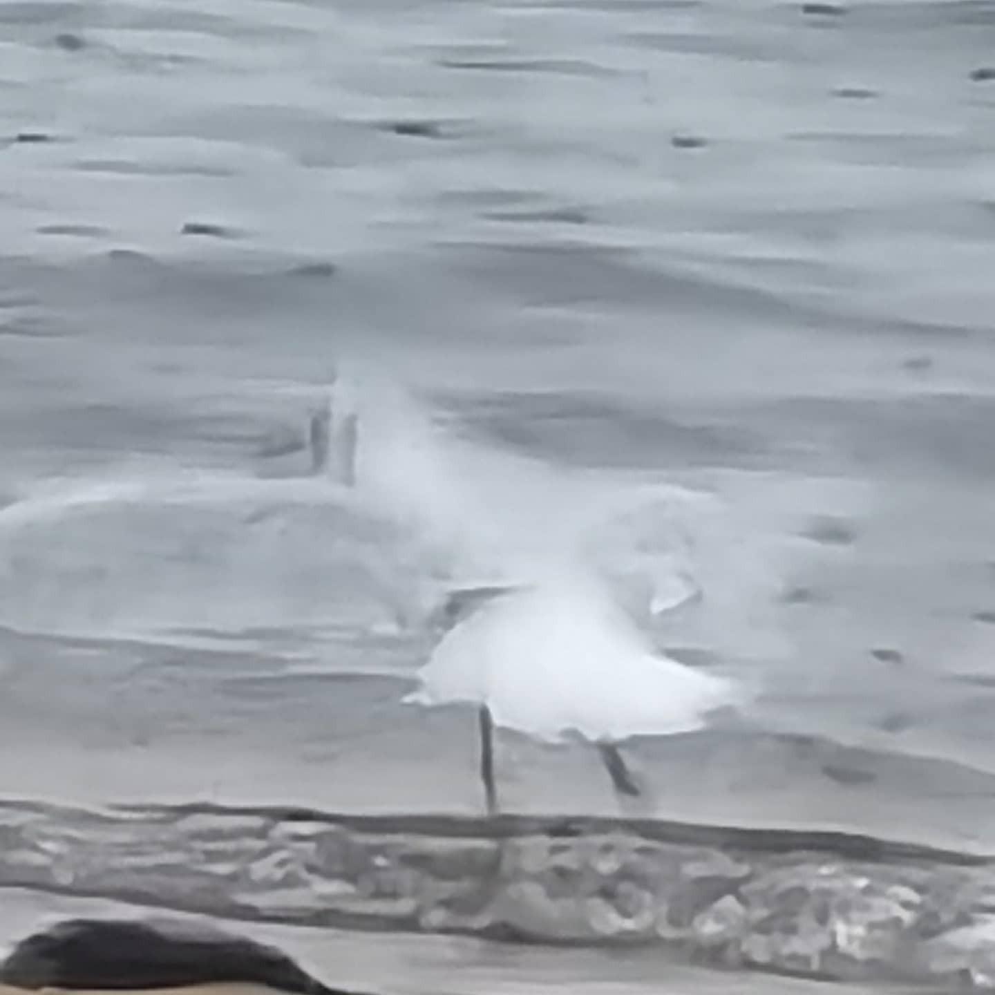 IMG_20210919_184338_354